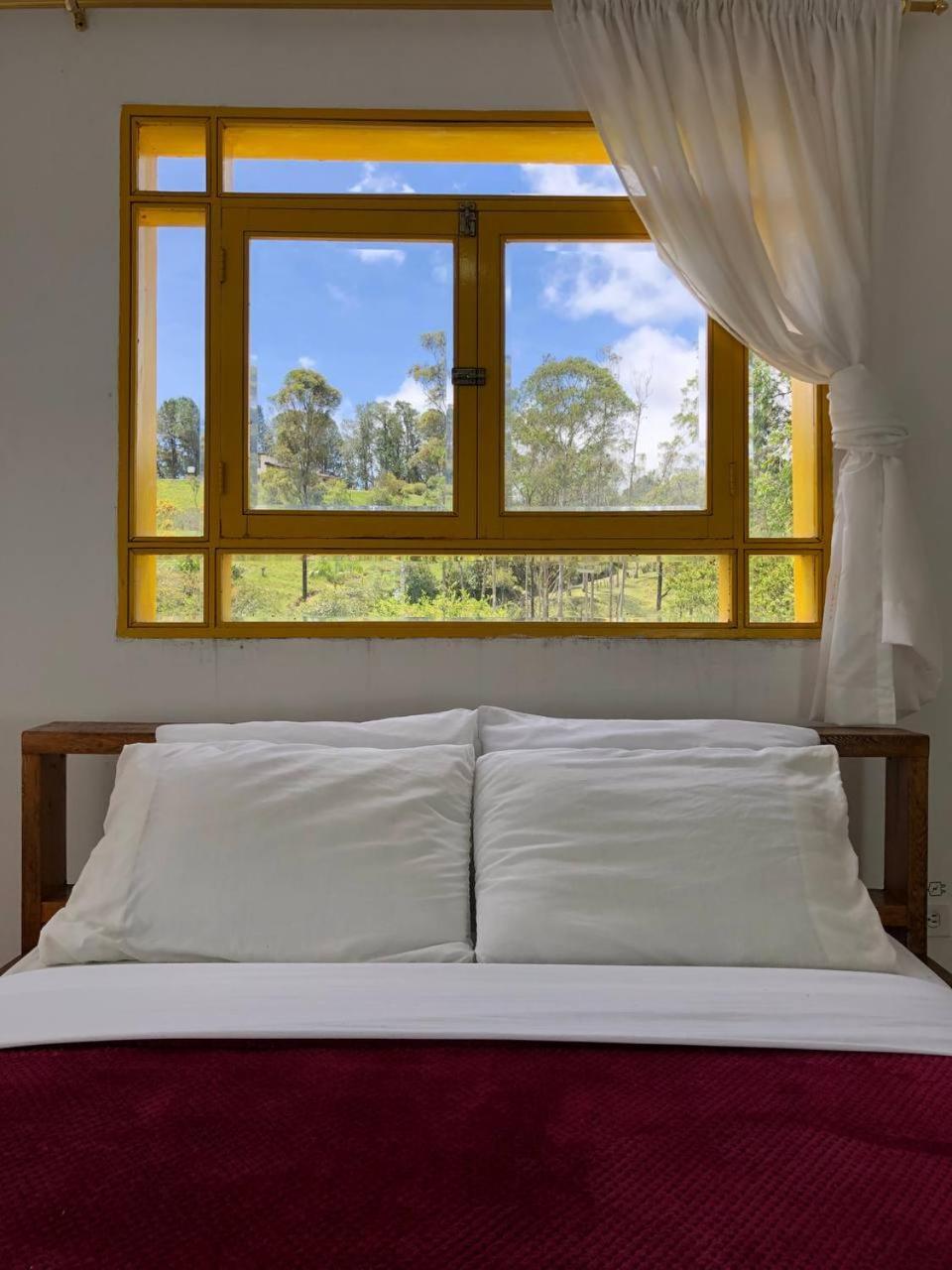 Alegria Hostel Boutique Guatapé Стая снимка